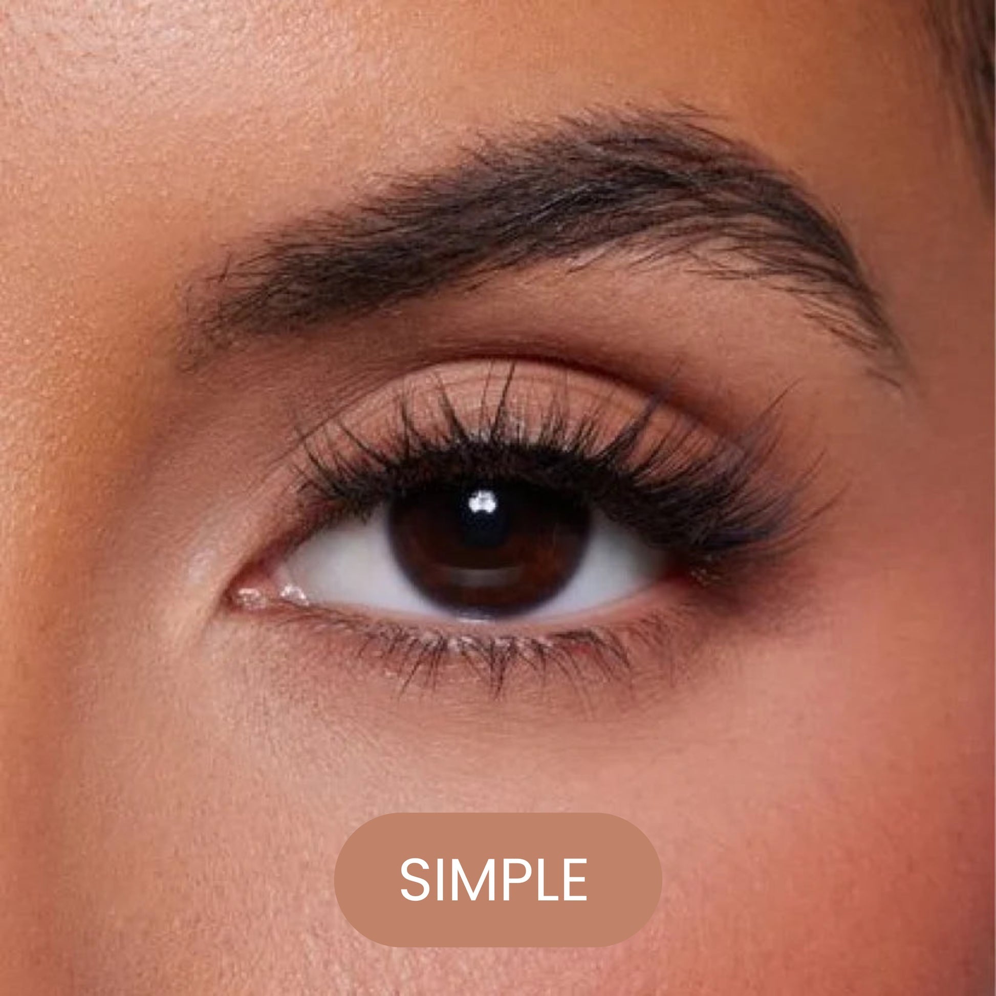 Faux cils magnétiques sans colle